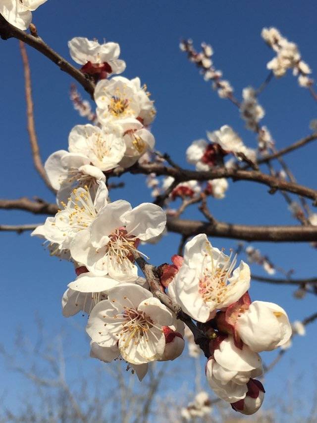 腾博会app_手机版下载
网-腾博会app新闻门户 传播品质资讯